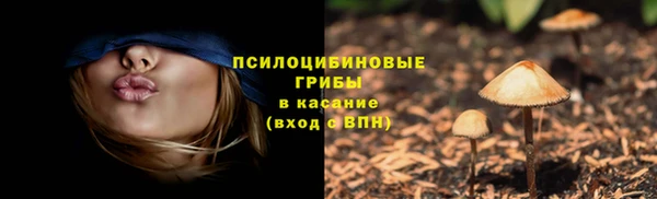 ECSTASY Бугульма
