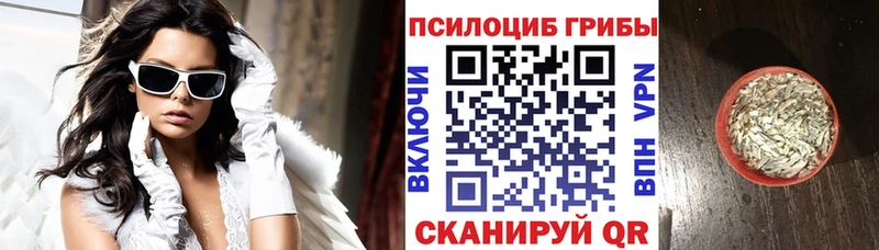 Галлюциногенные грибы MAGIC MUSHROOMS  Купить где  Алексин 
